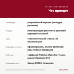 Пеларгония плющелистная Toscana Medio Dark Red (Karolina) 0,1л — что приедет