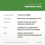Пеларгония плющелистная Toscana Medio White /Sunflair Albina (0,1л) — параметры сорта