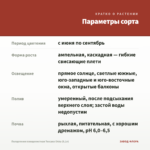Пеларгония плющелистная Toscana Okka (0,1л) — параметры сорта