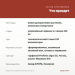 Пеларгония плющелистная Toscana Okka (0,1л) — что приедет