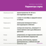 Пеларгония плющелистная Toscana Quirin (0,1л) — параметры сорта