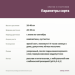 Пеларгония розебудная Achievement (0,1л) — параметры сорта