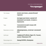 Пеларгония розебудная Achievement (0,1л) — что приедет