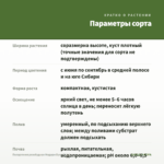 Пеларгония розебудная Мидори Буке (0,1л) — параметры сорта