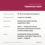 Пеларгония розебудная Survivor Idols Rosalinda (0,1л) — параметры сорта