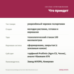 Пеларгония розебудная Survivor Idols Rosalinda (0,1л) — что приедет