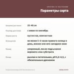 Пеларгония розебудная ЮГ Пани Валевска (0,1л) — параметры сорта