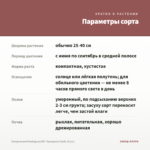Пеларгония Розебудная ЮГ- Принцесса Грейс (0,1л.) — параметры сорта