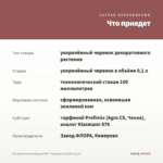 Пеларгония Розебудная ЮГ- Принцесса Грейс (0,1л.) — что приедет