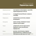 Пеларгония Salmon Princess (0,1л) — параметры сорта