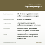 Пеларгония Salmon Princess (0,1л) — параметры сорта