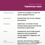 Пеларгония СЕлена Эрса (0,1л) — параметры сорта