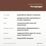 Пеларгония Steffens Blackie (0,1л) — что приедет