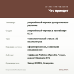 Пеларгония Steffens Blackie (0,1л) — что приедет