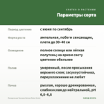Пеларгония Toscana Balcon Polar (0,1л) — параметры сорта