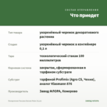 Пеларгония Toscana Balcon Polar (0,1л) — что приедет
