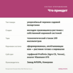 Пеларгония Toscana Dolce Vita Pink Eye (0,1л.) — что приедет