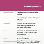 Пеларгония Toscana Dolce Vita Pink Eye (0,1л.) — параметры сорта