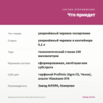 Пеларгония Toscana Dolce Vita Pink Eye (0,1л.) — что приедет
