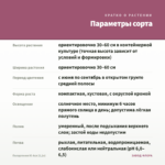Пеларгония Ю-Ася (0,1л) — параметры сорта