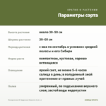 Пеларгония Ю-Царская Невеста (0,1 л.) — параметры сорта