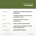 Пеларгония Ю-Царская Невеста (0,1 л.) — что приедет