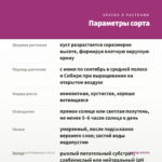 Пеларгония Ю Мерлезон 1 (0,1л) — параметры сорта