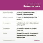 Пеларгония Ю Мерлезон 1 (0,1л) — параметры сорта