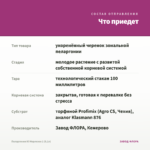 Пеларгония Ю Мерлезон 1 (0,1л) — что приедет