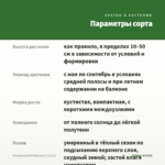 Пеларгония Ю Мерлезон 2 (0,1л) — параметры сорта
