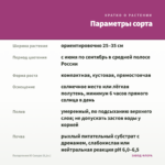 Пеларгония Ю Сакура (0,1л.) — параметры сорта