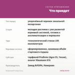 Пеларгония Ю Сакура (0,1л.) — что приедет