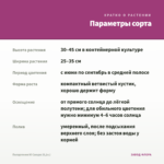 Пеларгония Ю Сакура (0,1л.) — параметры сорта