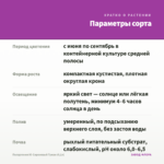 Пеларгония Ю-Сиреневый Туман (0,1л) — параметры сорта
