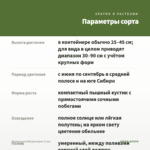 Пеларгония ЮВ Дайнерис (0,1л) — параметры сорта