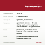 Пеларгония ЮВ-Кардинал (0,1л) — параметры сорта