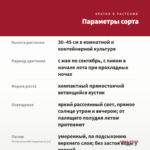 Пеларгония ЮВ-Кардинал (0,1л) — параметры сорта