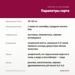 Пеларгония ЮВ Византия (0,1л) — параметры сорта
