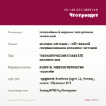 Пеларгония ЮВ Византия (0,1л) — что приедет