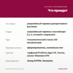 Пеларгония ЮВ Византия (0,1л) — что приедет
