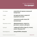 Пеларгония зональная Antique Rose (0,1л) — что приедет