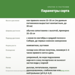 Пеларгония зональная Apple Blossom Rosebud (0,1л) — параметры сорта