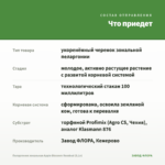 Пеларгония зональная Apple Blossom Rosebud (0,1л) — что приедет