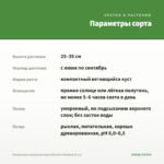 Пеларгония зональная Apple Blossom Rosebud (0,1л) — параметры сорта