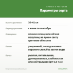Пеларгония зональная Белая (0,1л) — параметры сорта