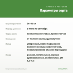 Пеларгония зональная Белая (0,1л) — параметры сорта