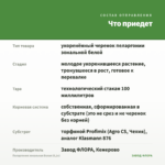 Пеларгония зональная Белая (0,1л) — что приедет