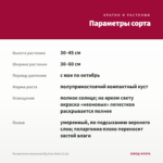 Пеларгония зональная Big Eeze Neon (0,1л) — параметры сорта