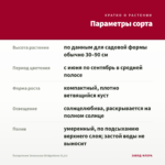 Пеларгония Зональная Bridgestone (0,1л) — параметры сорта
