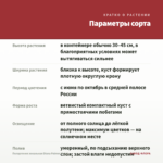 Пеларгония зональная Diana Palmer (0,1л) — параметры сорта